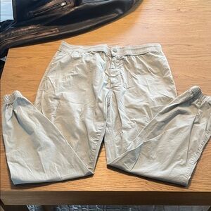 Zara Men's Light sage green  Casual Jogger Pants